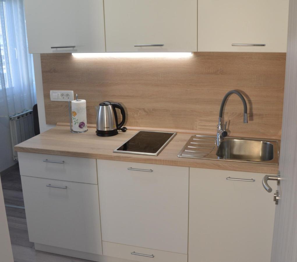 Apartma Vila Zigmund 체르크니차 외부 사진