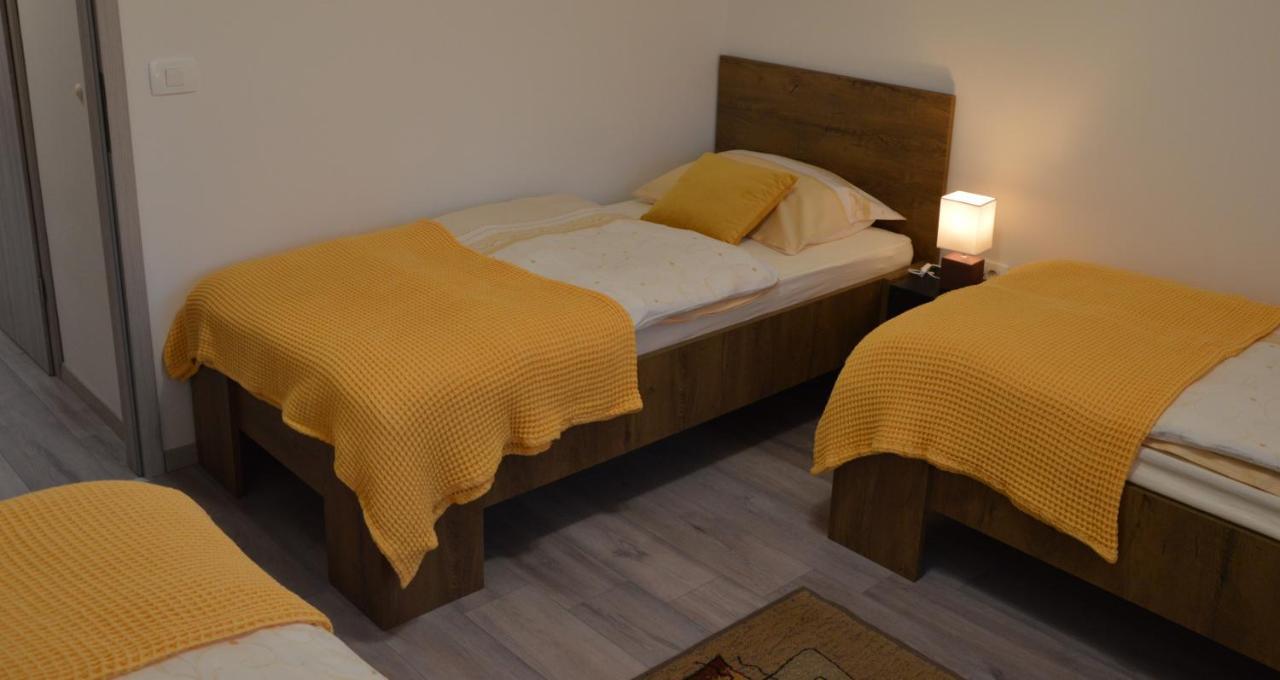 Apartma Vila Zigmund 체르크니차 외부 사진